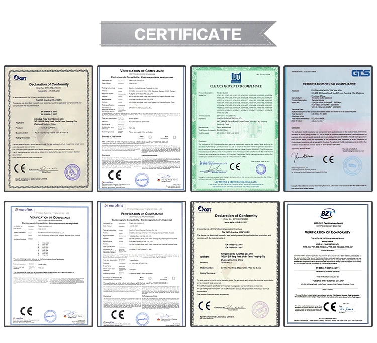 certificate_02.jpg