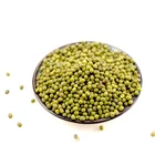 Hot sale Origin Dried Organic green mung beans for sale