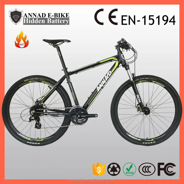 hidden battery Powerful E-bike long distance cheap adult tricycle
