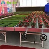 fixed and rolling bench systems Growing Tables for Commercial plants Dutch Trays