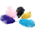 Large white Carnival Festival ostrich feather For Wedding and party Decoration