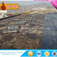 Construction Building Materials Polymer Sbs App