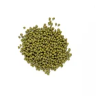 Premium Quality Agricultural crop Reliable export specifications green mung beans price