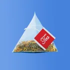 Triangle Nylon Tea Bag with String and Customized Tag
