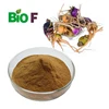 /product-detail/dried-maca-root-dried-maca-root-powder-dried-maca-root-extract-60150607801.html