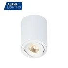Dimmable Adjustable 11W COB LED Ceiling Surface Mounted Downlight Spot Light with HEP Driver