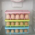 Plastic Egg Shape Container For Storage And carrier