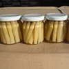 /product-detail/good-sell-canned-fresh-white-asparagus-1677462829.html