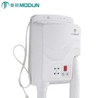 220V/110V wall mount hotel hair dryer skin care dryer