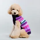 factory direct supply new high-end fashion stripe dog clothes Christmas cat sweater thickened pet sweater