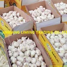 Products Garlic Garlic 2020 Selling The Best Quality Cost-effective Products Garlic