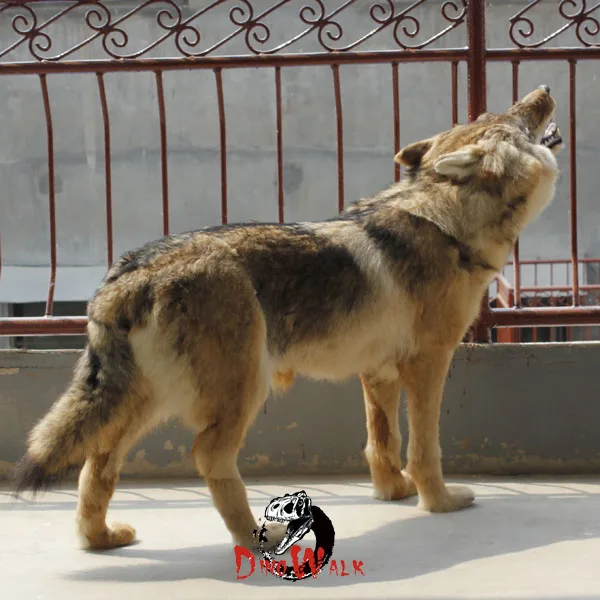 simulation wolf (5).jpg