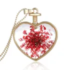 Crystal necklace Memory Glass Heart Shape Pendant Necklace Charm Dry Flower Locket Fashion Jewelry Holiday Gift