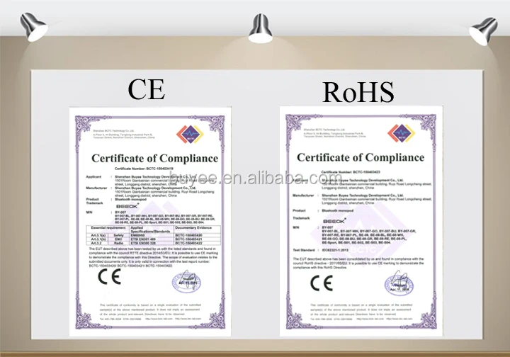 Certificate RS&CE 02