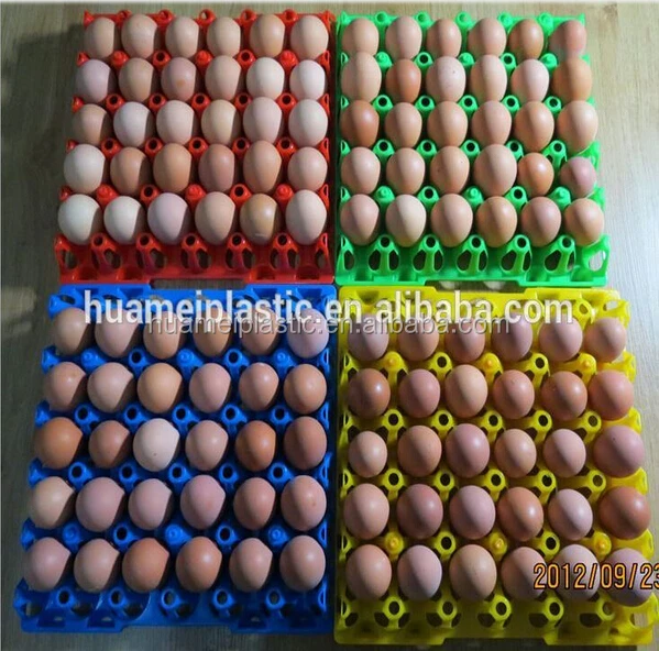 卵のキャリア2015売れ筋/ホルダー/container/box/ピクニック卵トレイ仕入れ・メーカー・工場