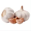 /product-detail/2019-fresh-normal-white-garlic-from-china-factory-organic-garlic-price-62095047023.html