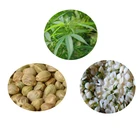 Natural Organic Hulled Hemp Seeds
