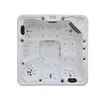 2 Lying 3 Seats Hot tub Spa / Massage spa/ Whirlpool Spa including Cover Shell Skirt ,Step Small LED light (KGT-JCS-31)