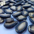 Hot sale China black watermelon seeds