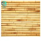 Cheap Natural Bamboo Roll garden Fencing