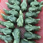 hsiuyen Elephant crystal stone animals caving elephant for gift