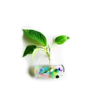Home Garden Ball Decor Hanging Glass Flower Planter Vase Terrarium