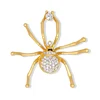 New creative design brooches full diamond Insect spider shaped brooches for sale