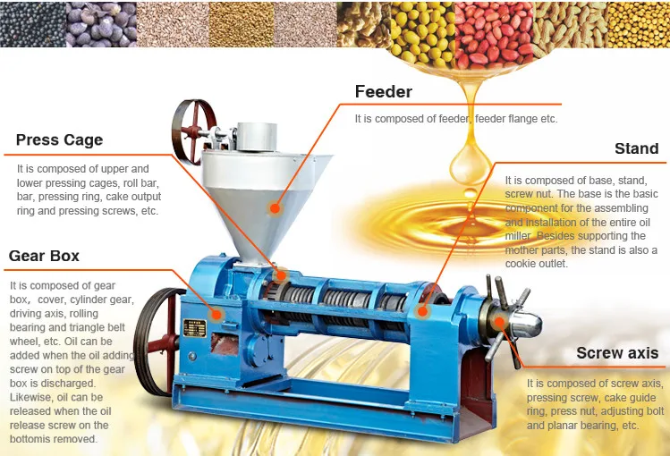 Energy-saving sunflower oil press edible sunflower seeds oil processing machine