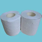 Application Hygiene small roll Hotel toilet paper tissue