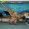 KANOSAUR2919 Amusement Park Equipment Youtube Video Artificial Raptor Costume