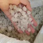 94.5% Sea salt price Sodium Chloride Sea salt high quality Manufacture Bulk