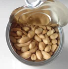 Roasted salted peanuts / fried peanuts kernels with spicy chilli