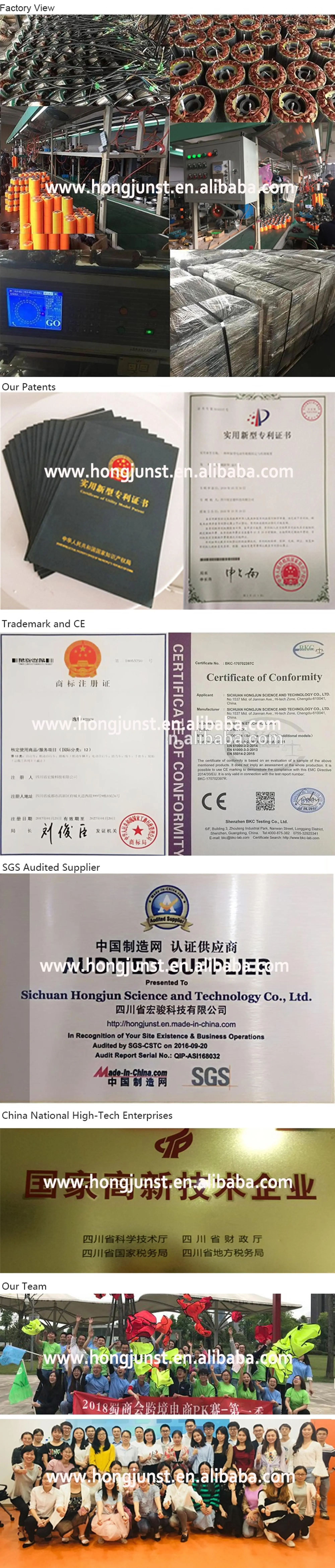 Brushless 8 Inch DC Motor With Different Tires and Brakes