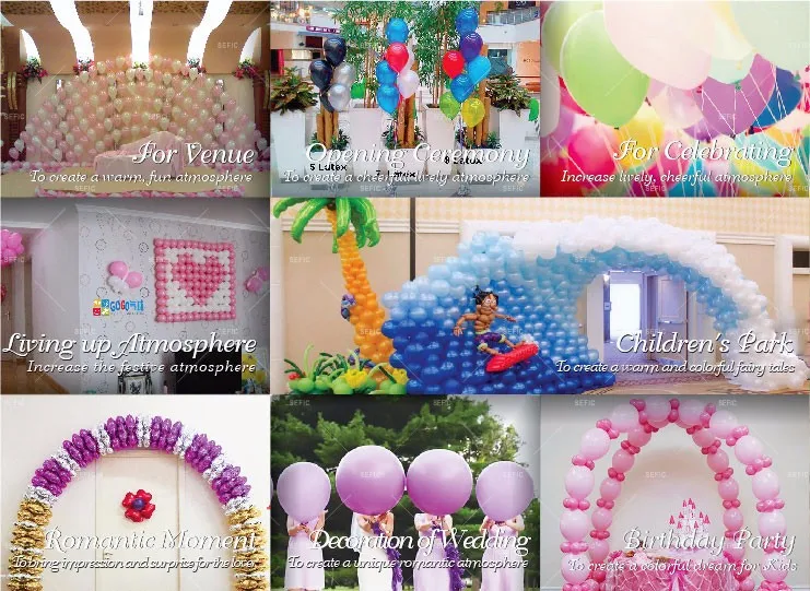 Disposable helium cylinder application (12)