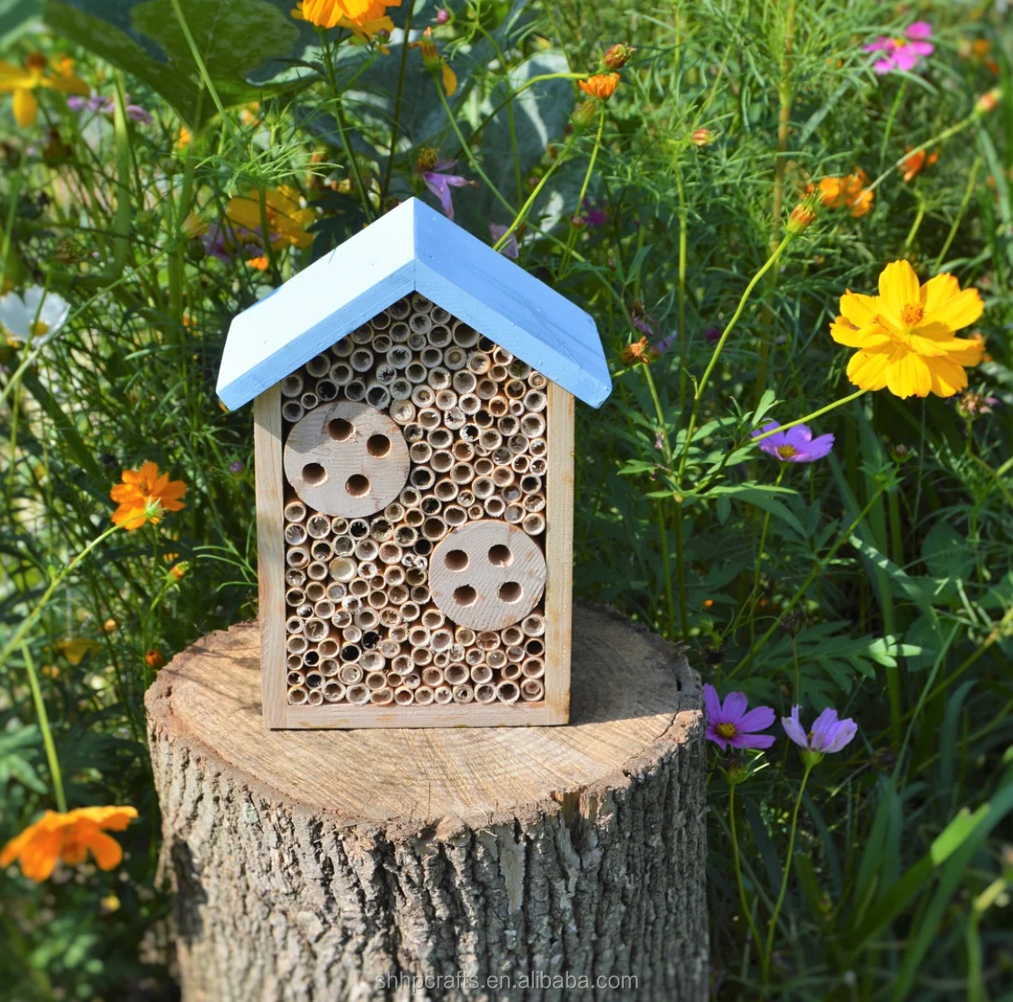 NEST-0033A.JPG