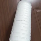 0.22,0.45 Micron Pleated PES Water Filter Cartridge for Wine and Beer Industry