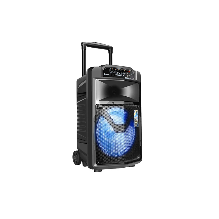 Private New Model Multifunctional Portable Trolley 12 Inch Subwoofer Speaker System Tower Speaker - ANKUX.COM