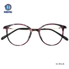 Popular Light TR90 & Metal Optical Glasses Frame Thin Temple Frame Glasses