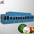 DX-B10 full automatic big size PVC ball pad printing machine