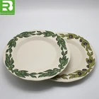 Colorful printed melamine daily used dinnerware fancy disposable bamboo plates