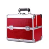 Top Quality Portable Professional Artist Makeup Case Aluminum Lovely Cosmetic Box KC-W79