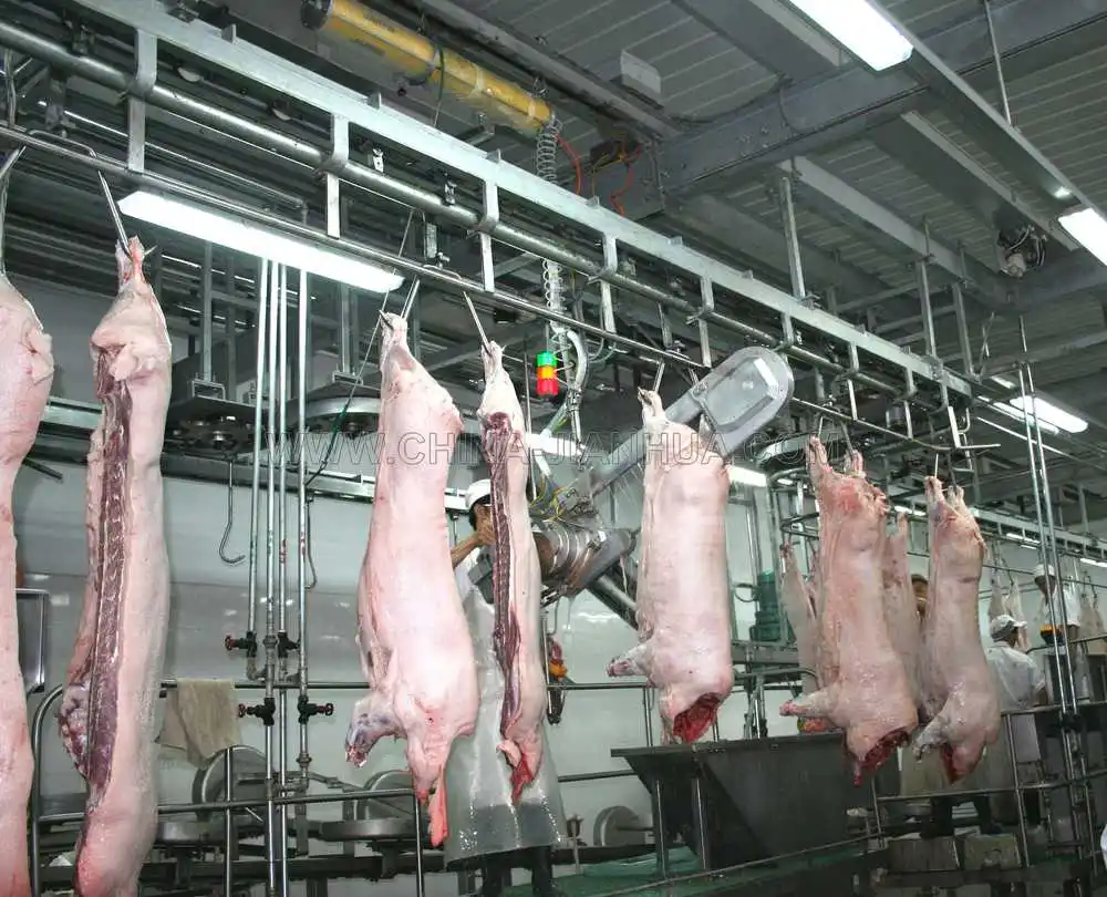 Lợn thịt máy cắt 1/2 giết mổ thiết bị