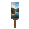 5 inch 480x854 TFT LCD IPS LCD panel IPS screen mobile phone LCD