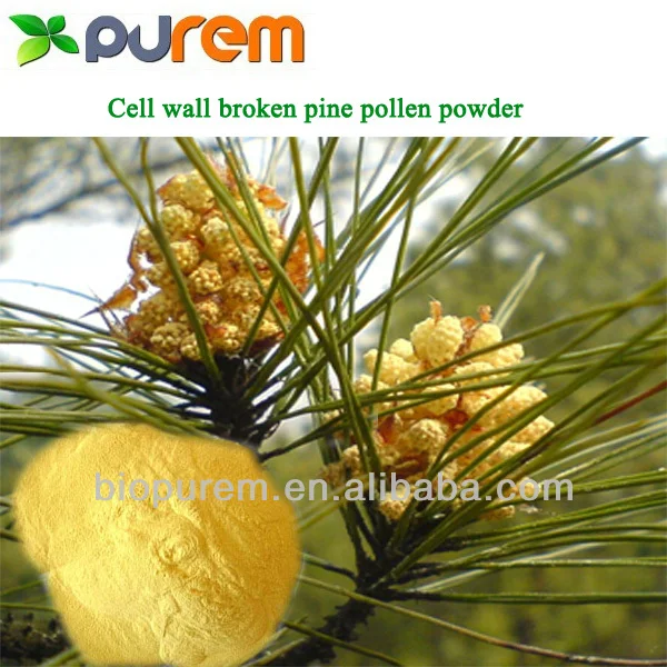 cell wall broken pine pollen powder