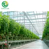 /product-detail/multi-span-glass-greenhouse-for-hydroponic-growing-system-62116999333.html