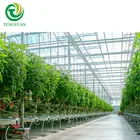 Multi-Span Glass Greenhouse for Hydroponic Growing System