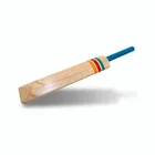wholesale factory custom wooden cricket bat OEM outdoor games sports Baseball bats
