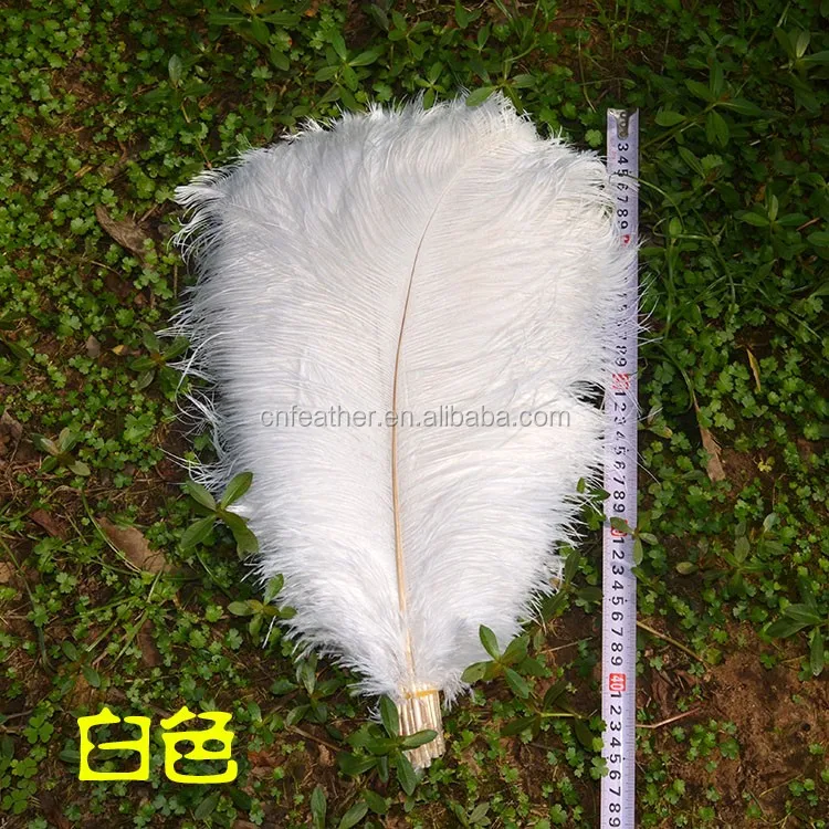 cheap sale colorful 45-50cm thin rod white ostrich feathers for