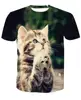Unisex Streetwear Style OEM&ODM 3D Cat Print on Demand T Shirt Dropshipping