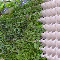 Wholesales Plants Wall Vertical Greening Indoor